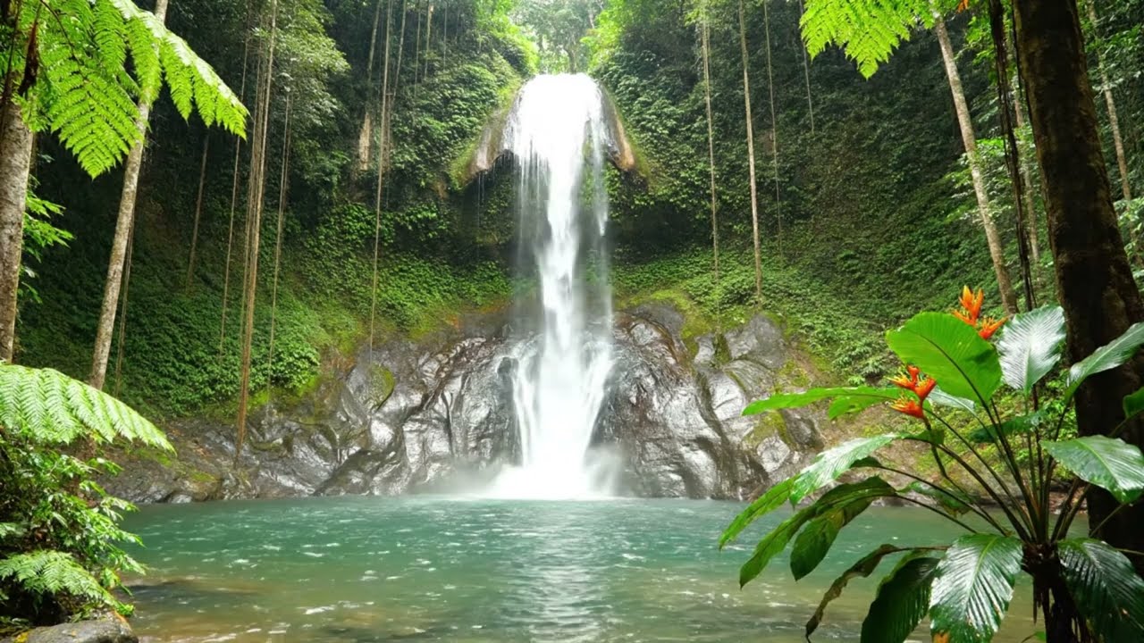 Tropical Waterfall Sounds (1 Hour) 🌊🌴 | Deep Relaxation, Meditation & Sleep Ambience