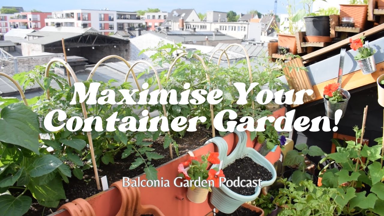 4 Easy Ways To Maximise Your Container Garden: Ep 11