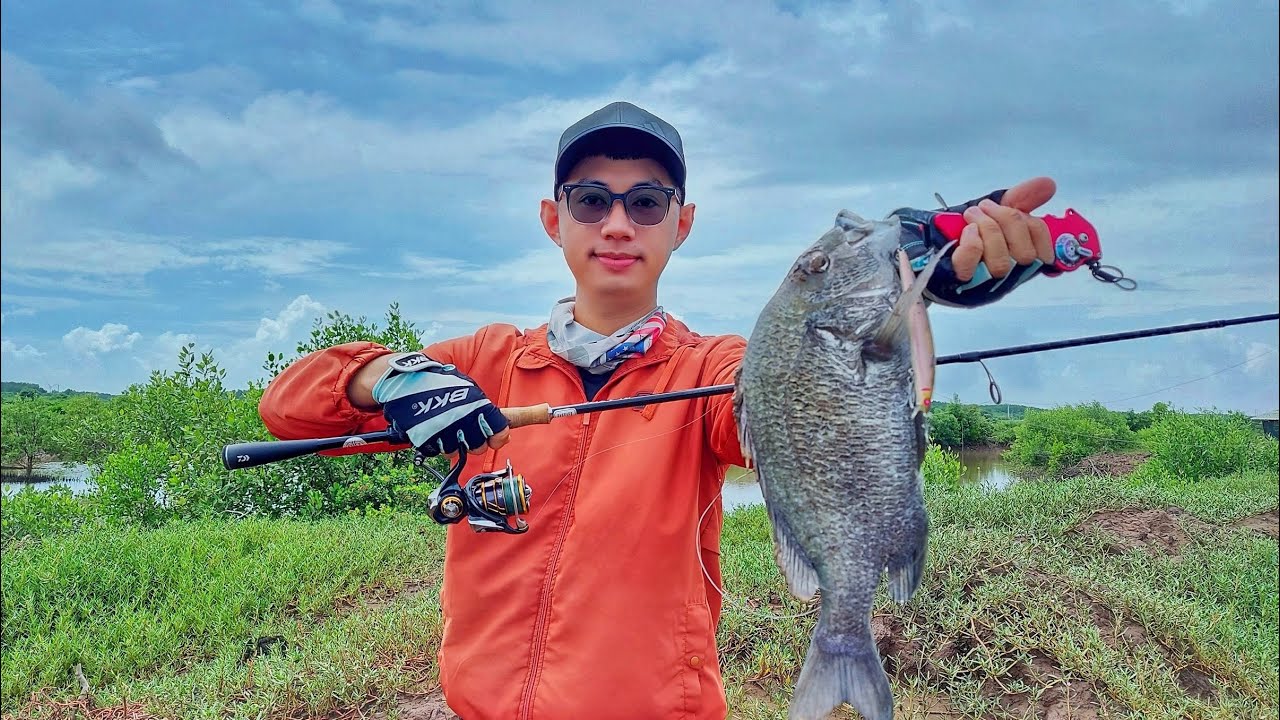 Lure cá Tráp Bình Đại cuối năm, con nước cuối đụng toàn hàng khủng ???