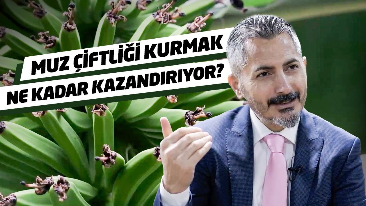 Bu Kadar Muz Serası Varken Neden Muz İthal Ediyoruz?