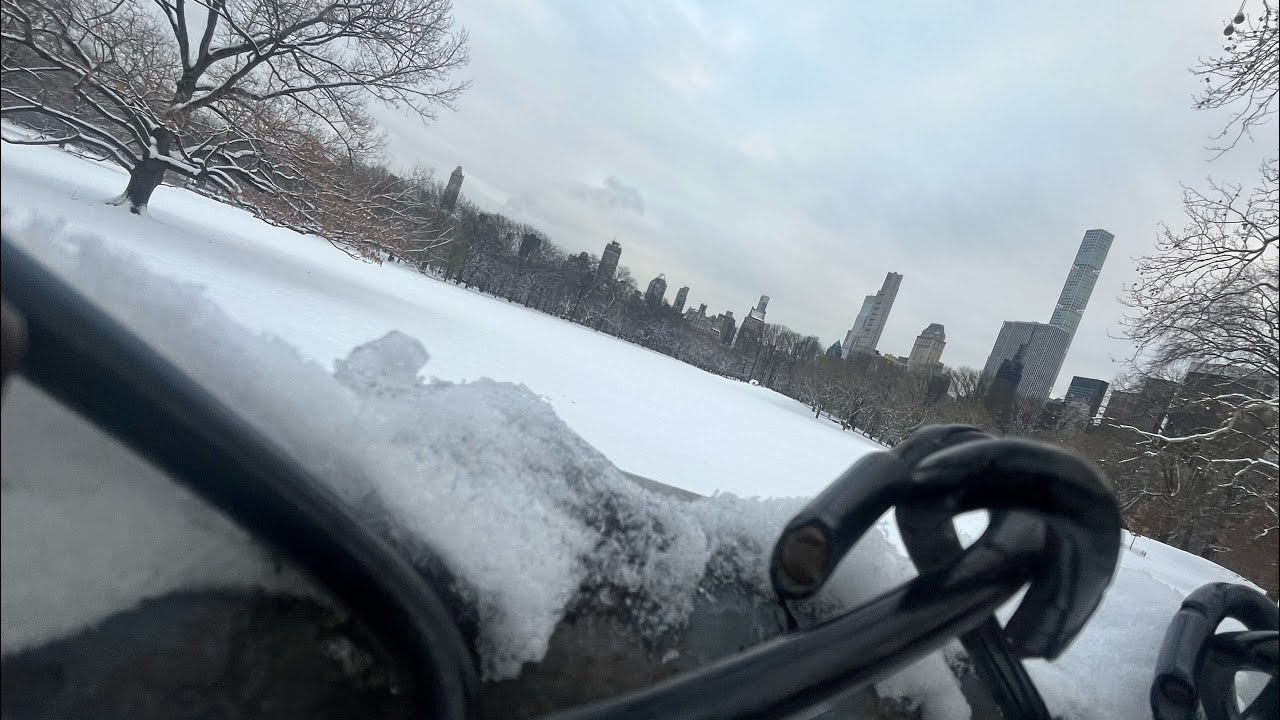 NYC trip day 2 (vlog 23)