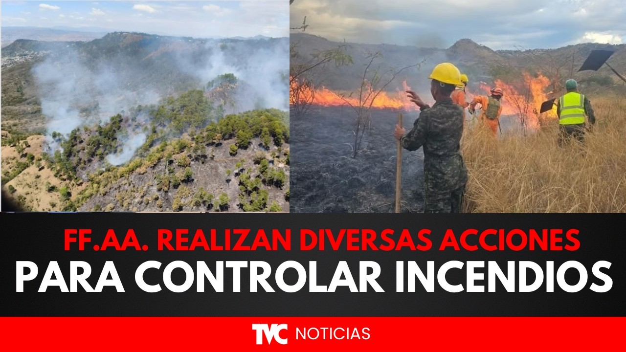 Fuerzas Armadas realizan diversas acciones para controlar incendios
