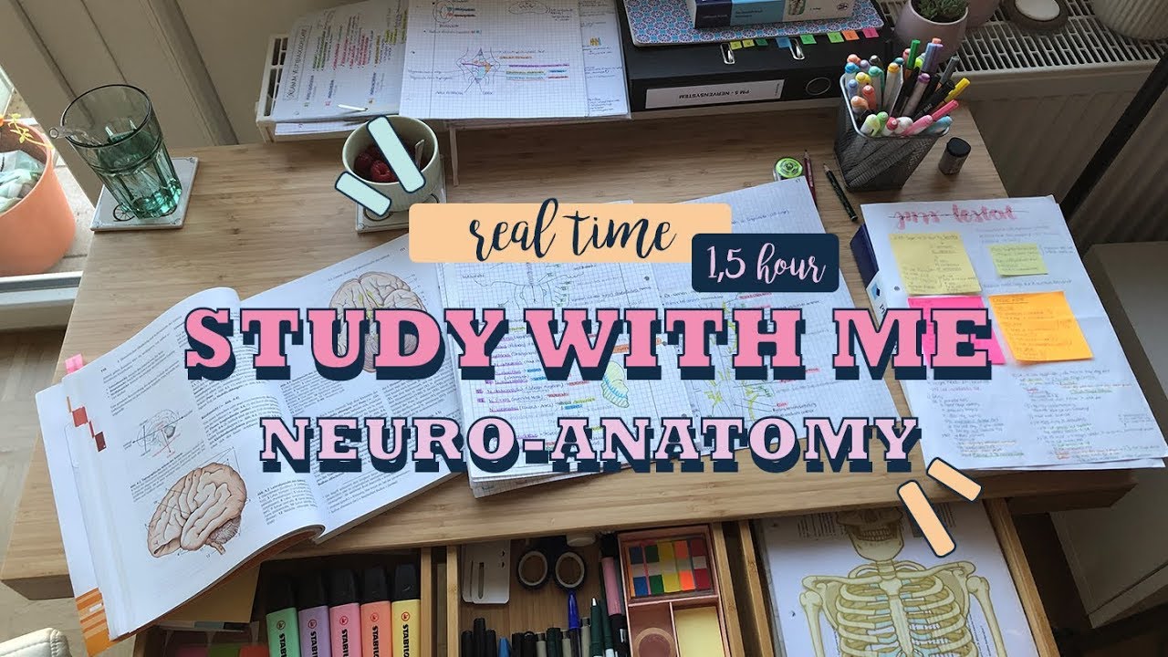 Real time study with me - Anatomy