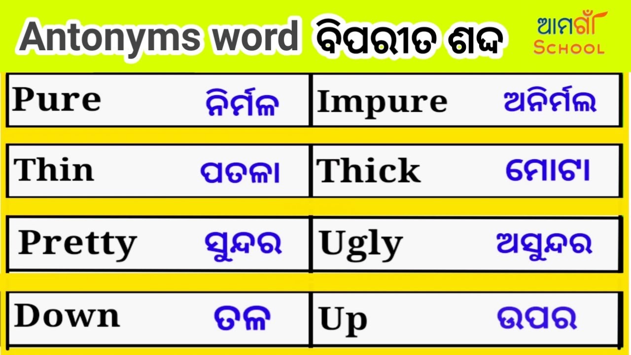 How to learn opposite words || Antonyms list with meaning English to odia || opposite words in Odia