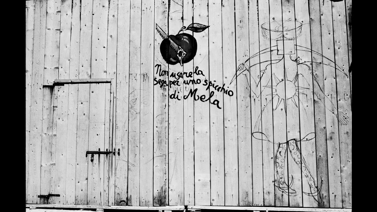 Black and White Minimalist  Photography N&deg; 7