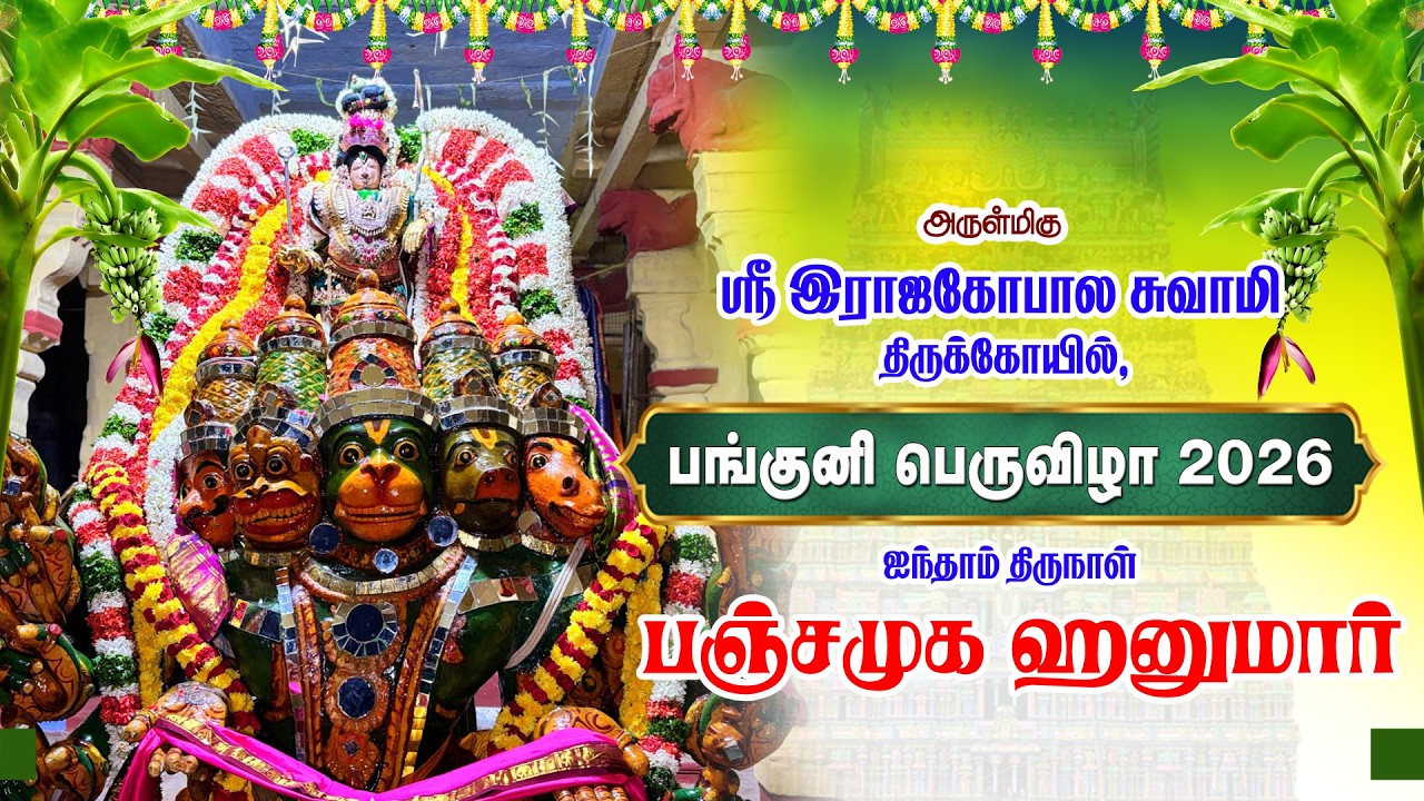 Panguni Bramotsavam Day 5 Panjamuga Hanumar Sri Rajagopalaswamy Temple Mannargudi | பஞ்சமுக ஹனுமார்