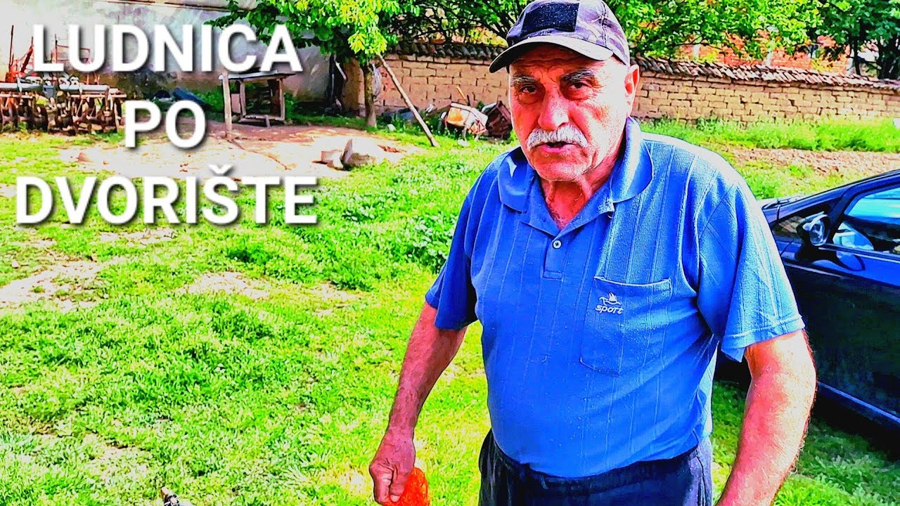 LUDNICE PO DVORIŠTE! SADIMO CVEĆE!