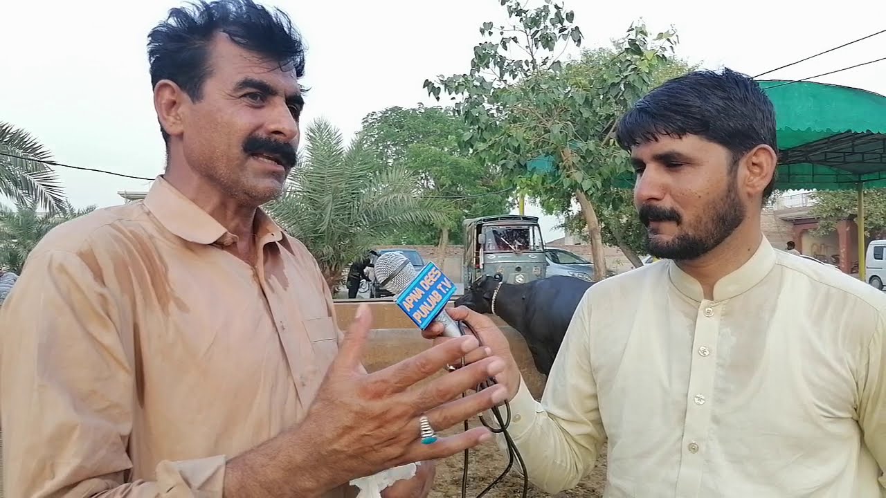 Haji ShoukatDogar Dairy and CattleFarmTop level Baffalo Breedar in the world part 4