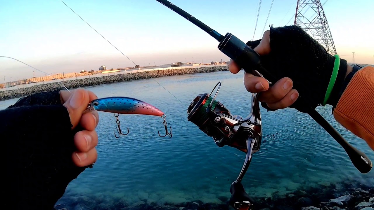 visiting old spot | ultralight fishing | yellow spotted trevally