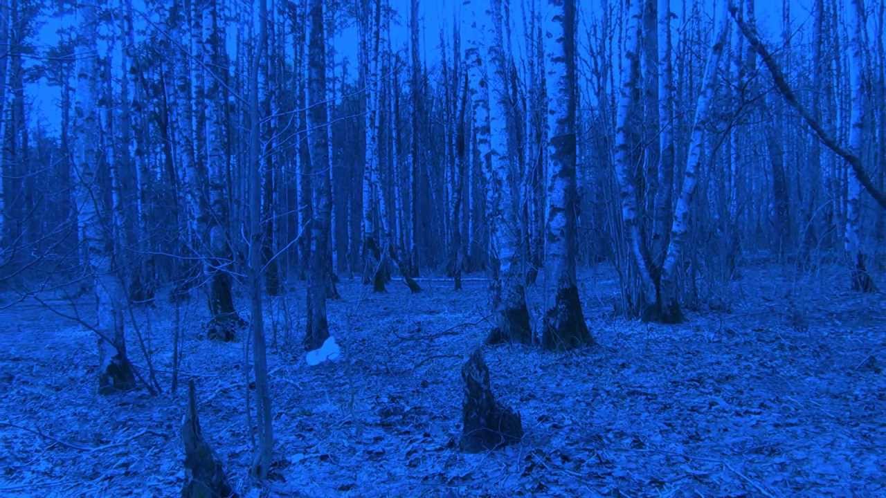 Заклятье. Фанатский клип на музыку группы Аркона (Arkona)