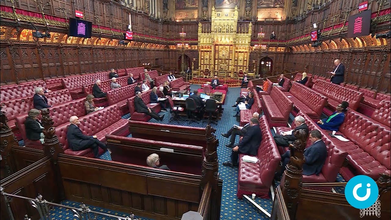 'Another step towards a nanny state': Peers warn against a smacking ban