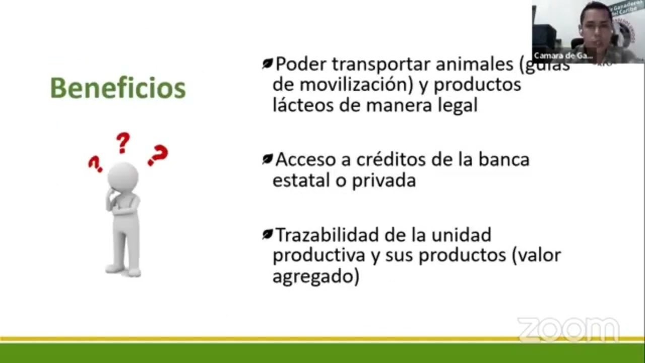 ¿Cómo Formalizar una Empresa Ganadera en Costa Rica?