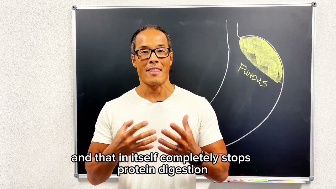Alkaline water stops protein digestion