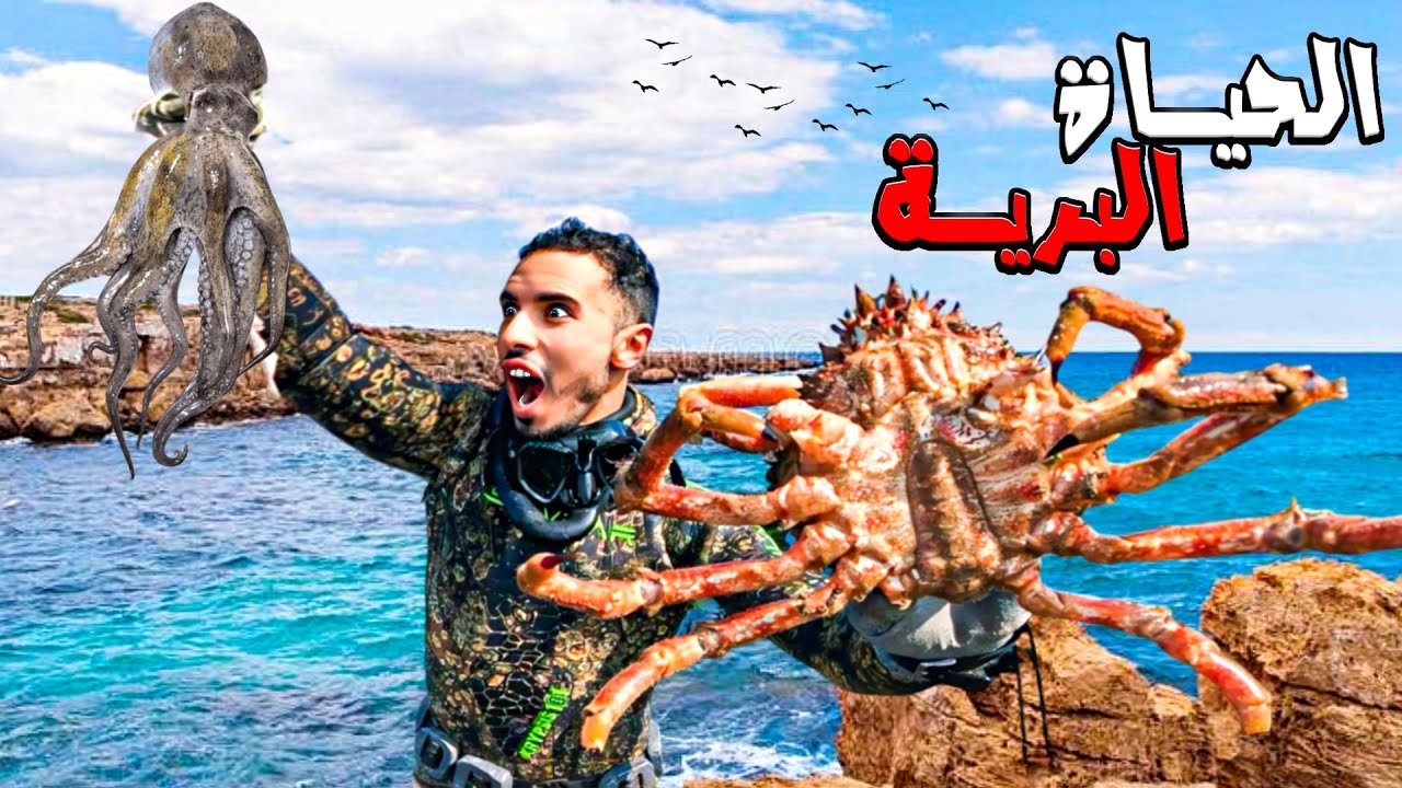 العيش الحر:تحدي الصيد بالغوص🏹في منتصف اليل وستكشاف الكائنات البحرية الصيد وطبخ