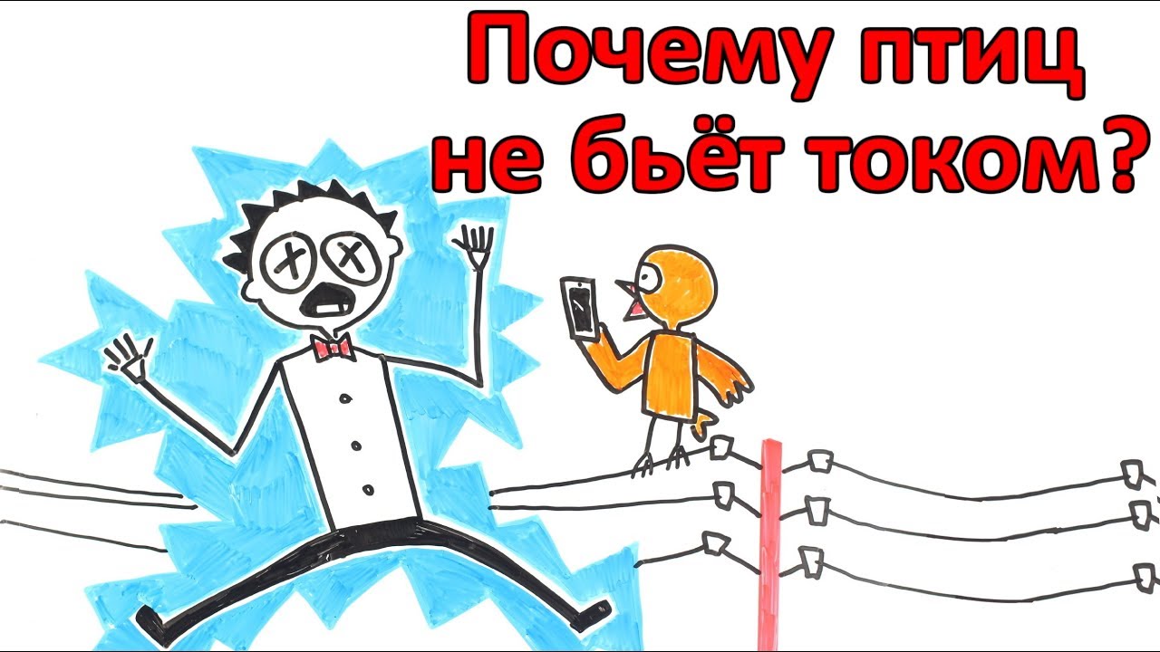 Почему птиц, сидящих на проводах, не бьет током?