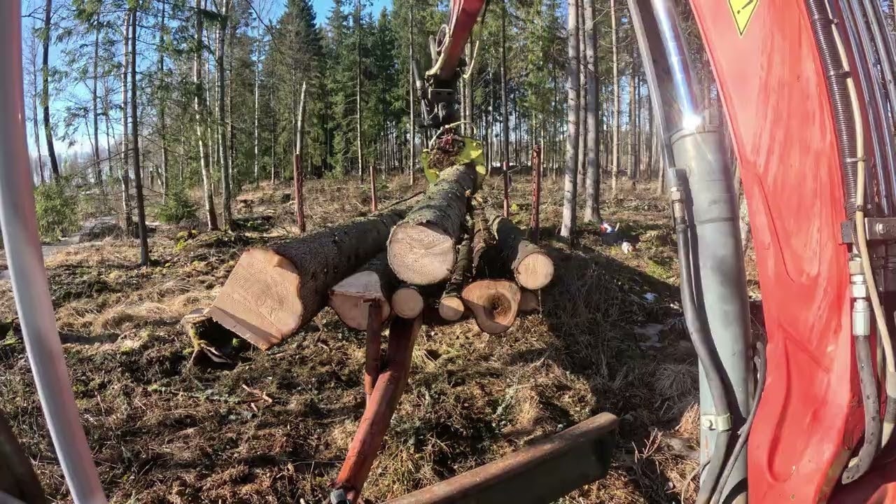 Excavator and Timber Trailer in Forest
