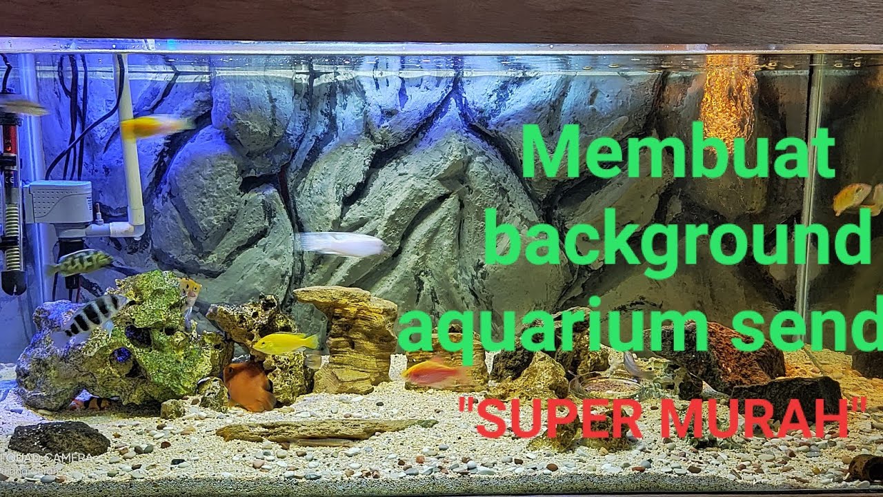 Membuat background 3D aquarium