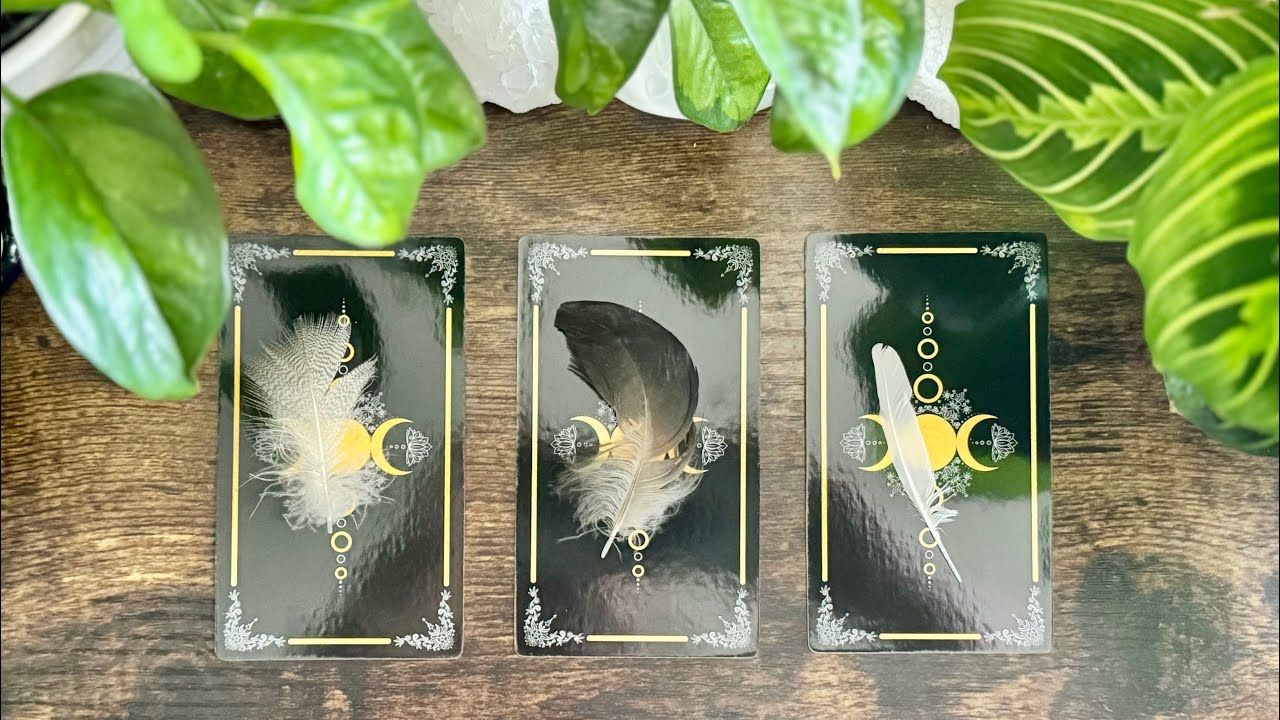 MESSAGES from your person! 🪶🪽🪶🪽🪶🪽Pick a Card Reading🪽🪶🪽🪶🪽🪶