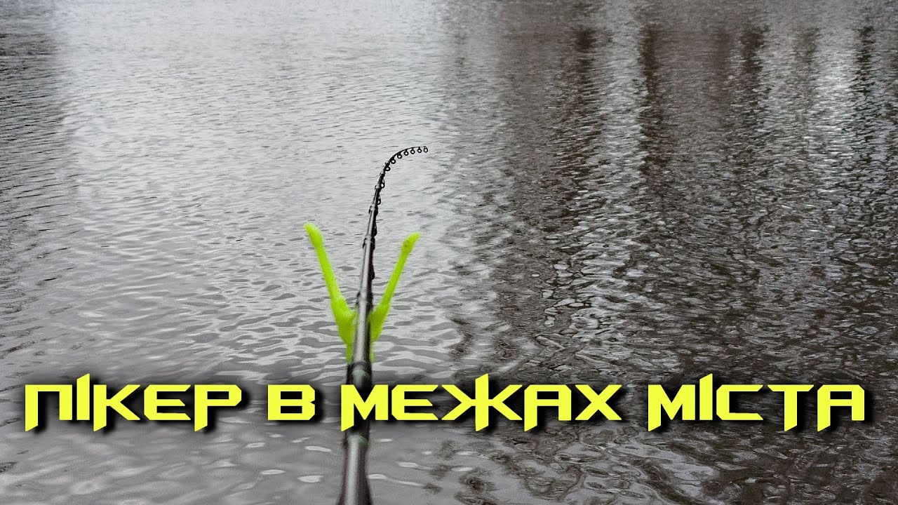 💥ВЕСНЯНИЙ ПІКЕР на РІЧЦІ🌱 ПЛОТВА/ГУСТІРА в межах МІСТА!🏘