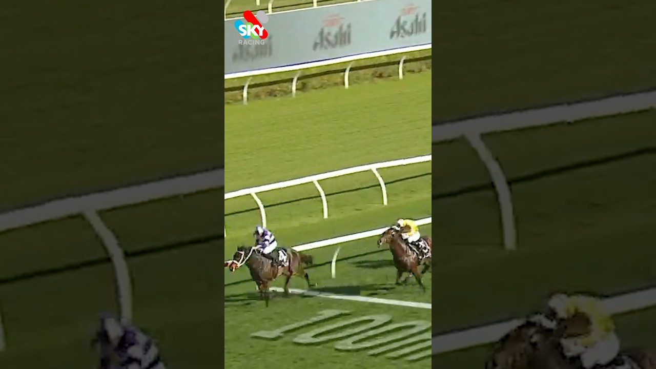 Is this the new Melbourne Cup hopeful? 👇