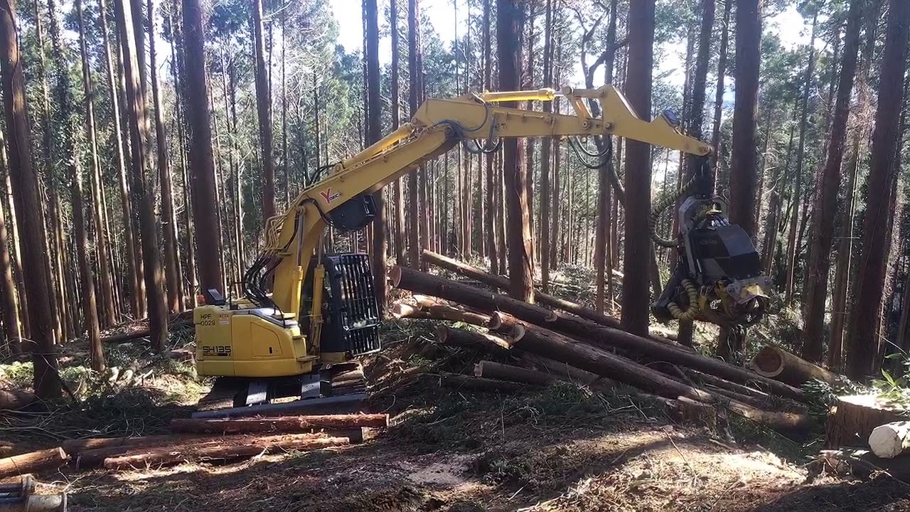 つくばね森林組合　ハーベスター造材　ケスラー