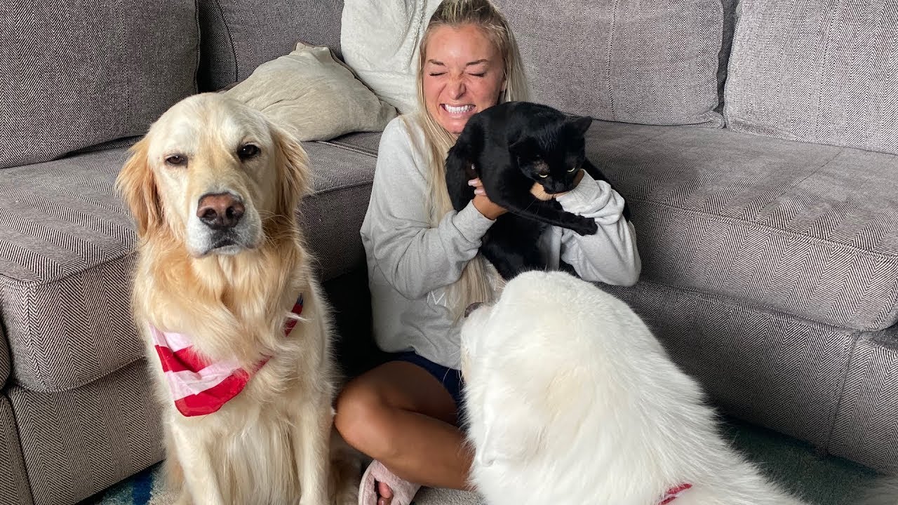 HOME ALONE WITH CHELS! (Super Cooper Sunday 