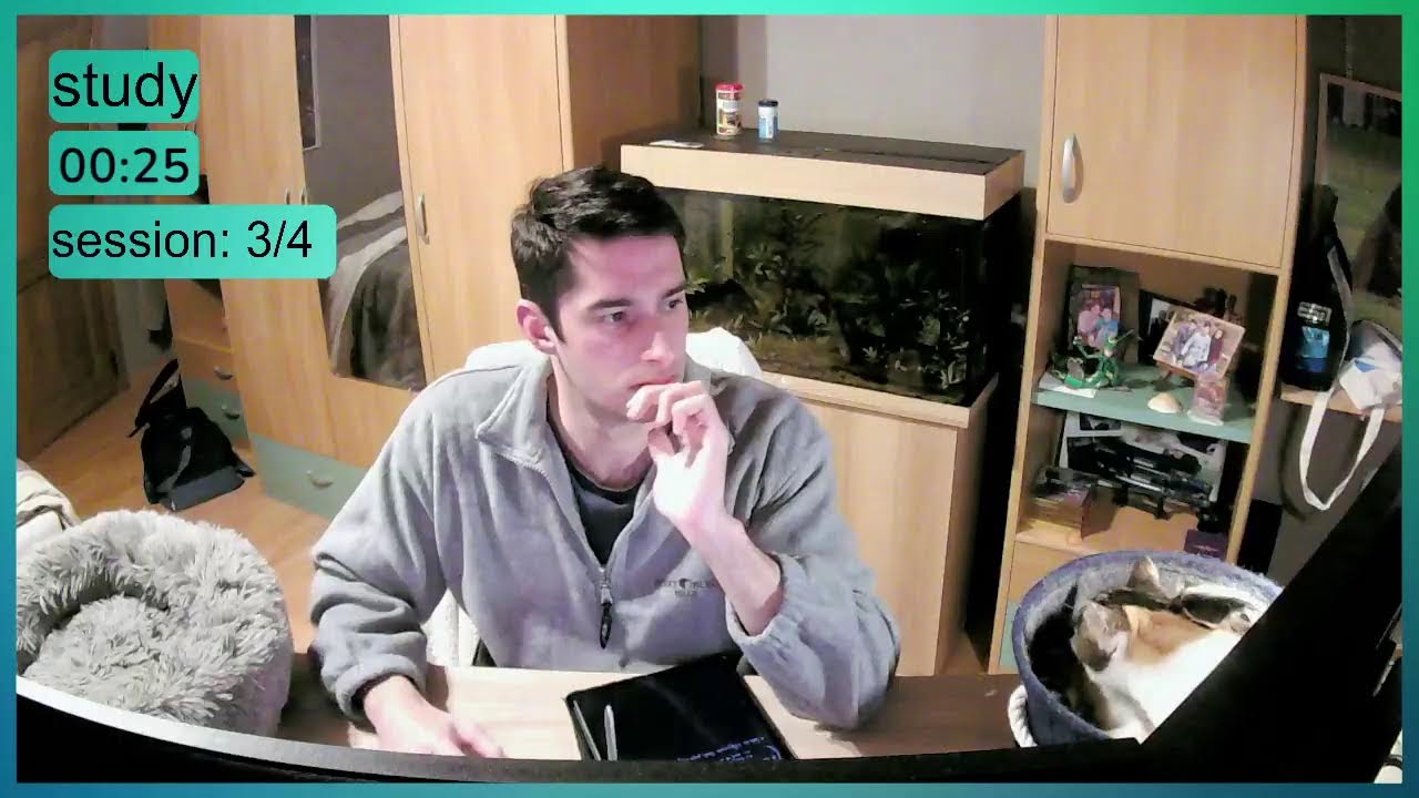 Study with me | 3+ Hours | 60-10 Pomodoro