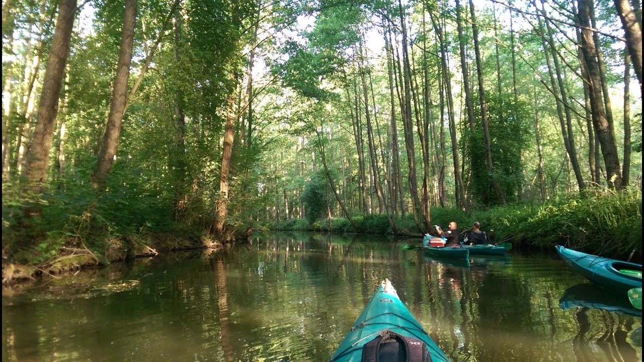 Paddeln in Burg (Spreewald) durch den Hochwald - ab dem Schlangenkönig