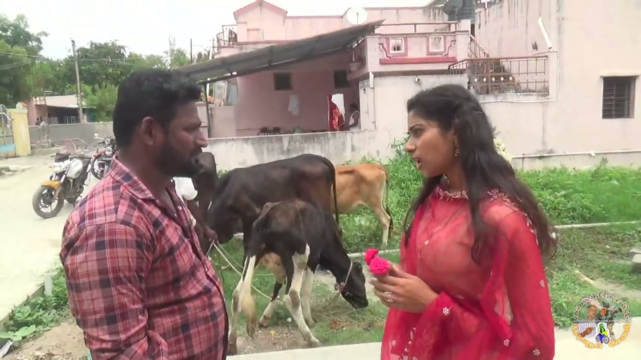 16 டிசம்பர், 2025