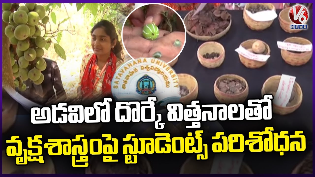 Ground Report : Satavahana University Students Create Botany Museum With Rare Forest Seeds | V6 News