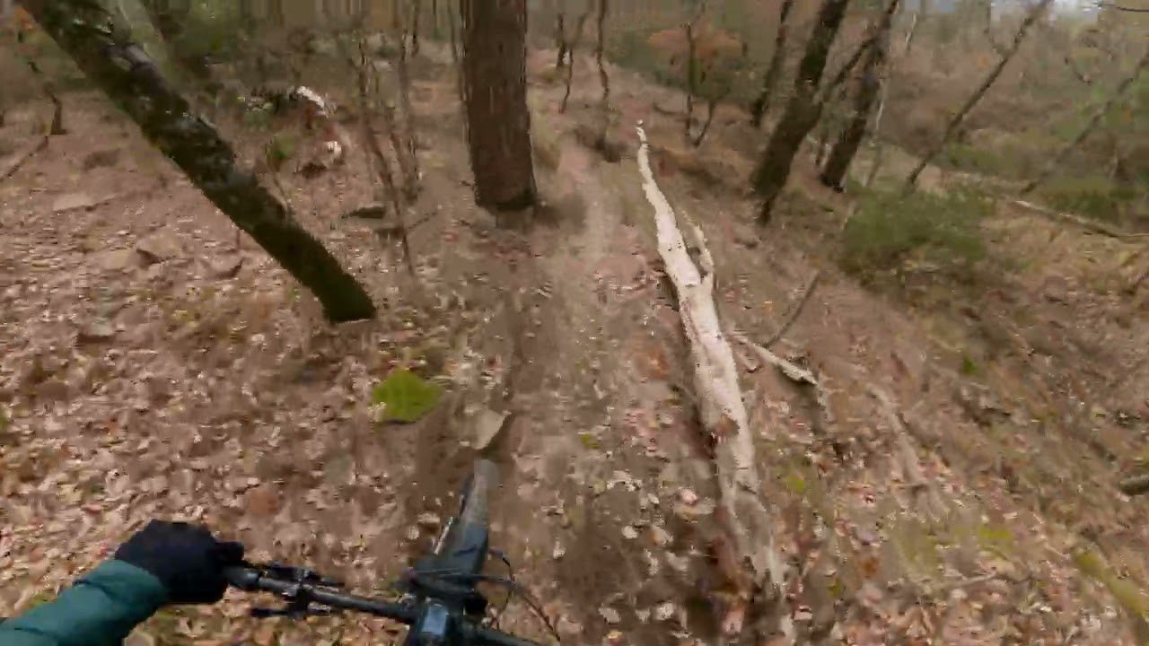 Is Back - Alpe di Poti | Arezzo