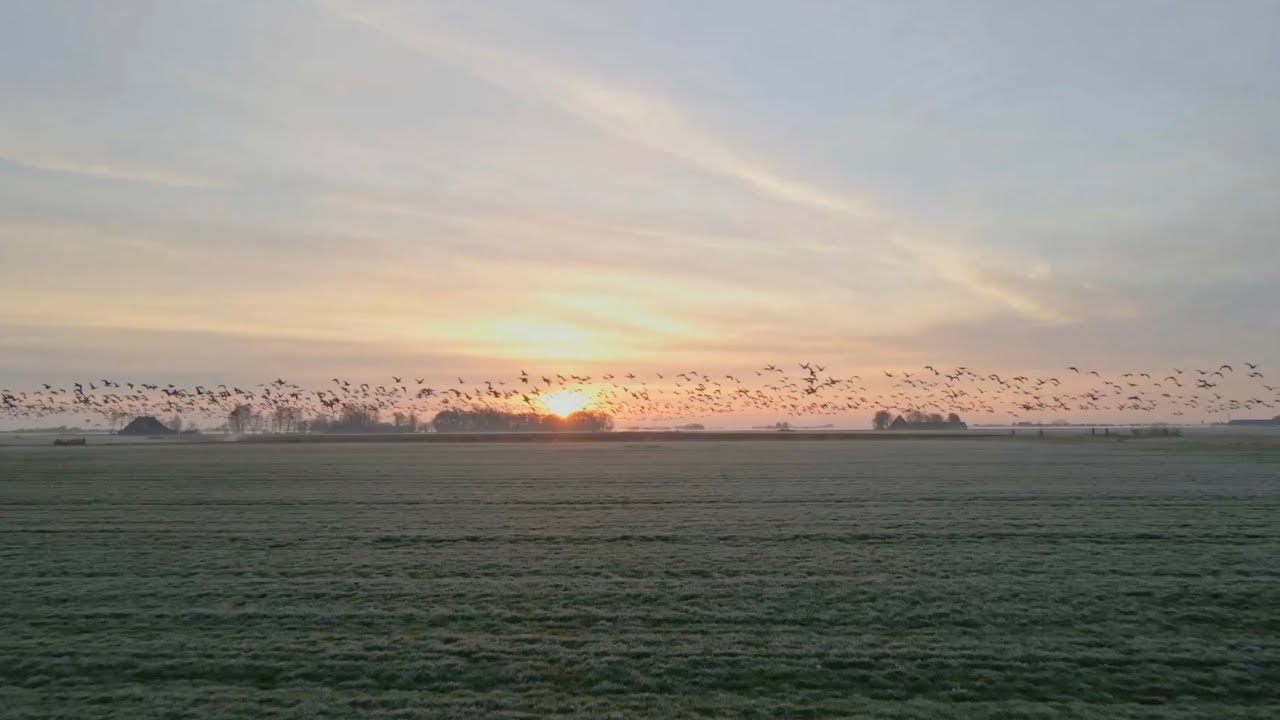 Locatietour duurzaam Friesland - 15 november 2024