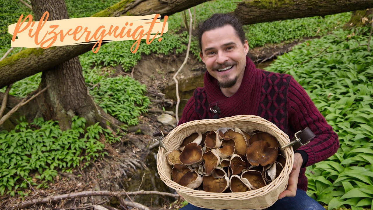 Das Große PILZERWACHEN im Frühling 2025 🥳 Morchelbecherlinge und neue Tipps zur Morchelsuche!