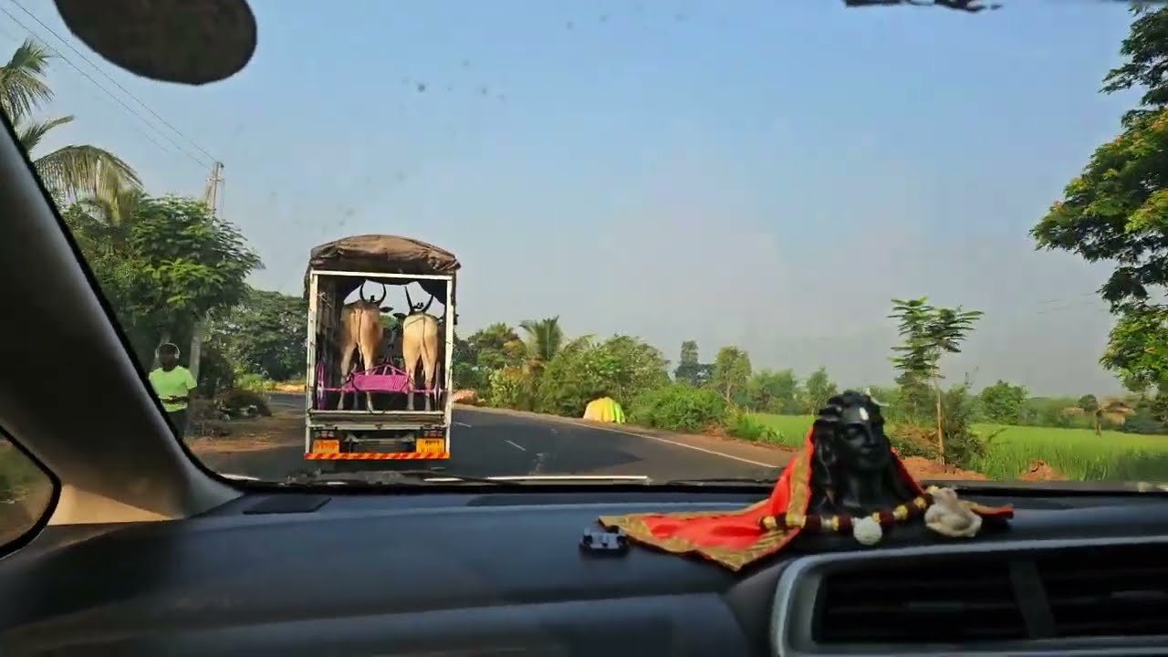 Best Route from Mumbai to Konkan Road Trip | 2024