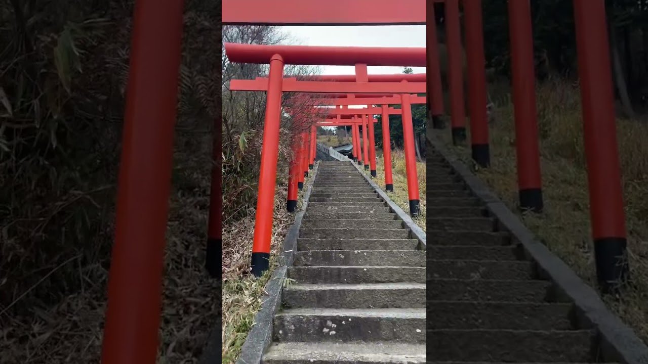 御利益がありますように⛩in京都　#神社　#shrine　#shorts