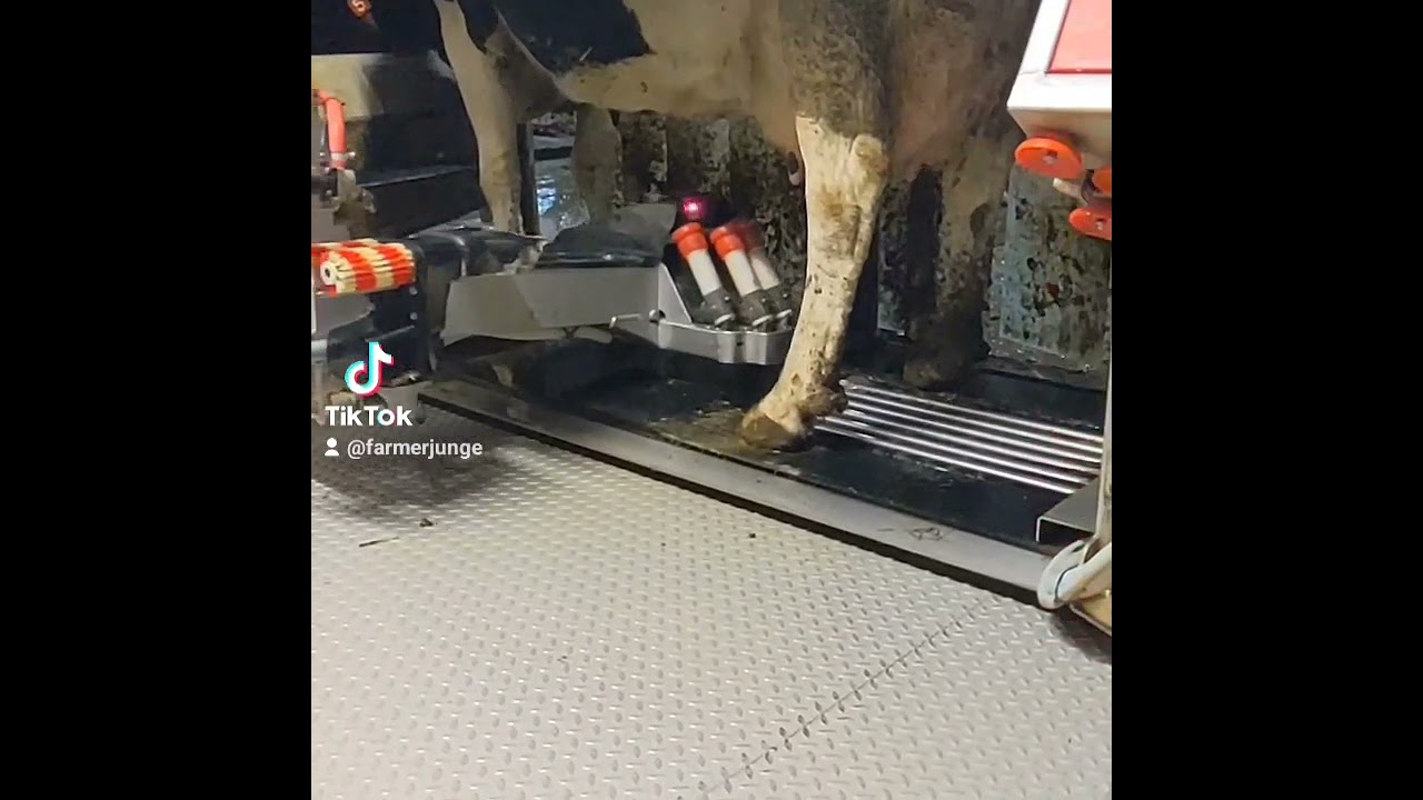 Lely Melkroboter # Farmerjunge