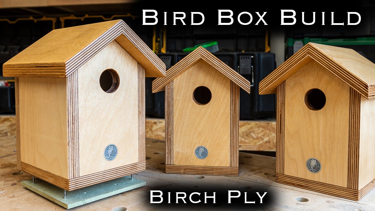 How to make a bird box || Birch Ply