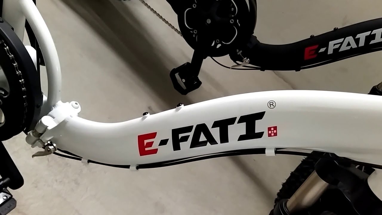 BICICLETTISTA E-FATI