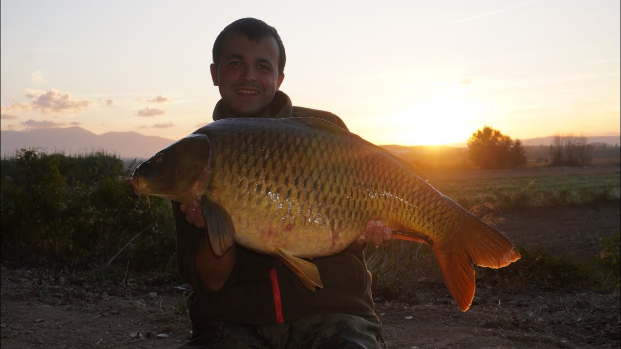Pt 2. CARPFISHING EBRO lo bueno se hace esperar