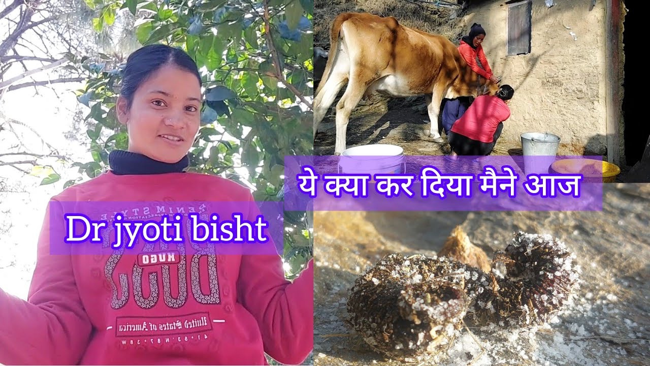  Finallyडॉक्टर बन ही गय👩‍⚕️आज हुआ सपना पूरा😍