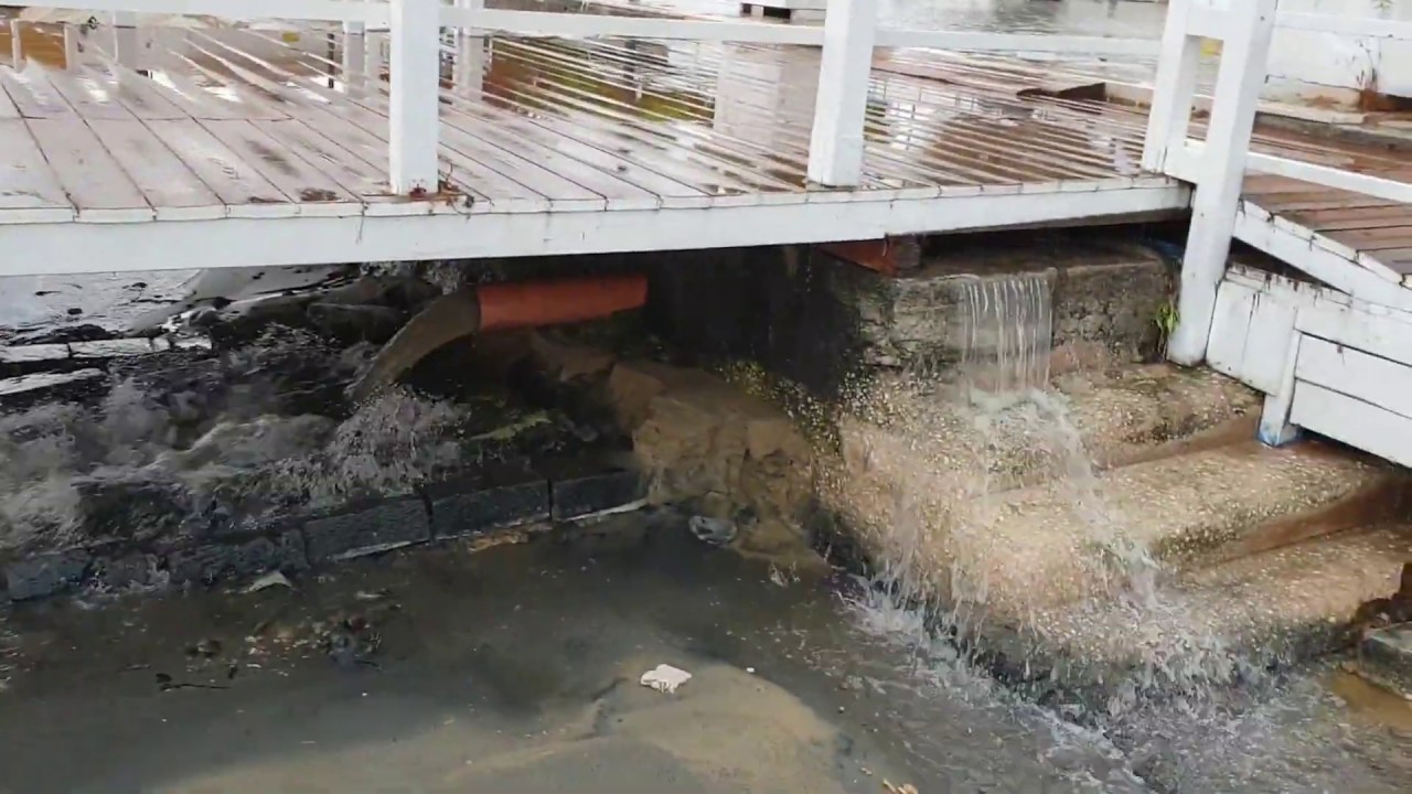 A Trani il mare di Colonna riceve acque non filtrate e il sindaco vieta i bagni per due giorni