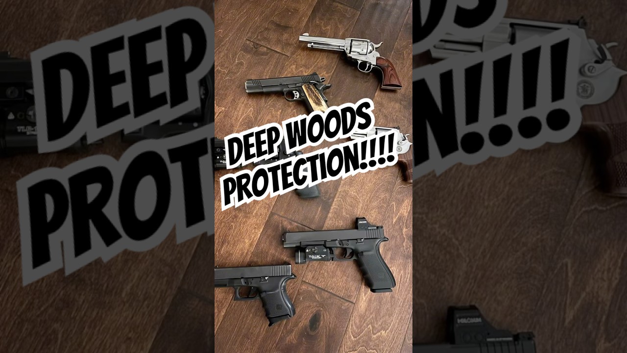 Best Gun for Innawoods