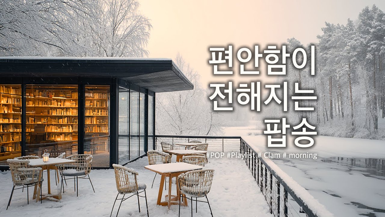 📻 𝐏𝐥𝐚𝐲𝐥𝐢𝐬𝐭 ❄️ 따뜻한 멜로디 듣는 노래  | 눈을 보며 듣는 편안한 팝송 lo-fi Chill Pop #008