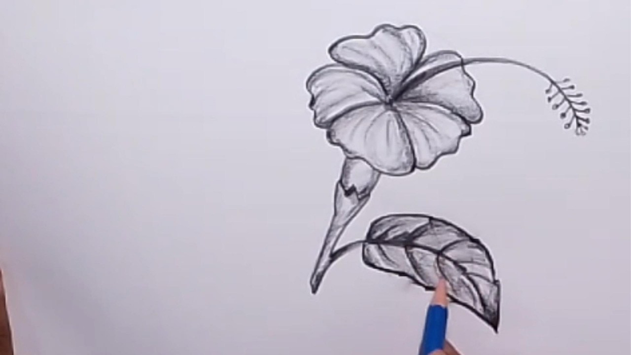 How to draw Hibiscus flower | Joba Flower Art Tutorial | Easy Drawing Academy