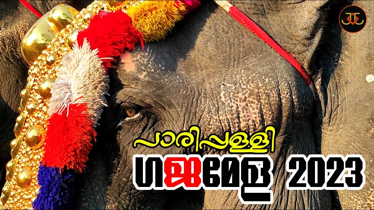 Kodimoottil Gajamela ll കൊടിമൂട്ടിൽ ഗജമേള 2023