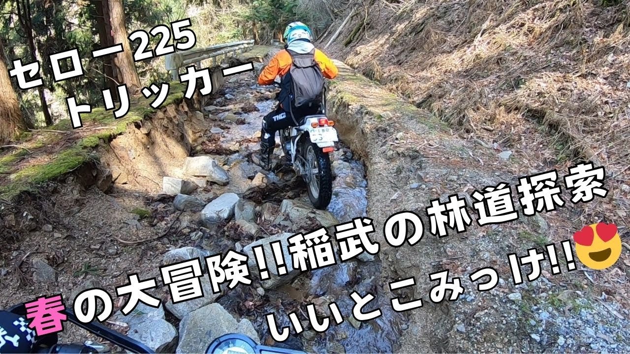 【三河 林道】春の大冒険 稲武の林道探索【豊田市 稲武地区 奥矢作】 セロー＆トリッカー