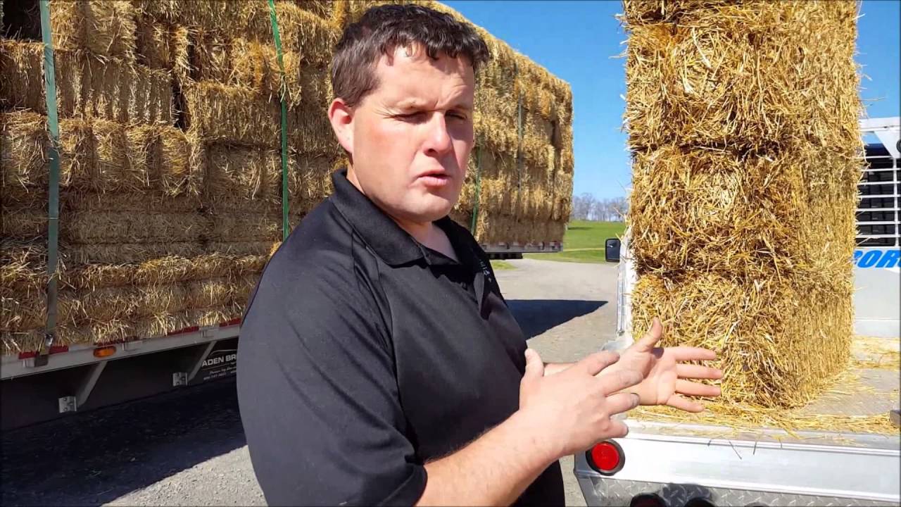 Straw Bales For Home Construction