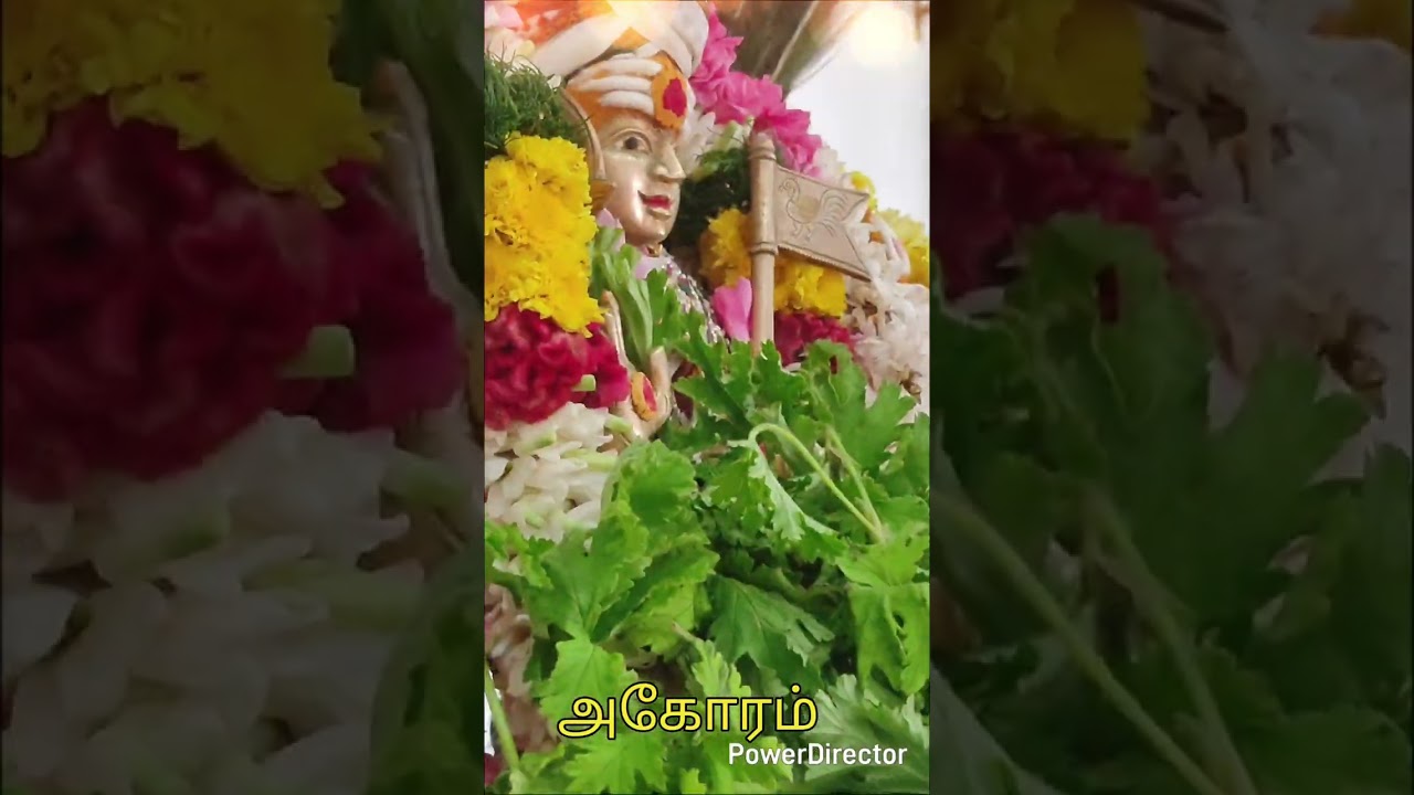 ஓம் சரவணபவ, சத்ரு சம்ஹார திரிசதி . ஸ்ரீ சுப்பிரமணிஸ்வாமி, 