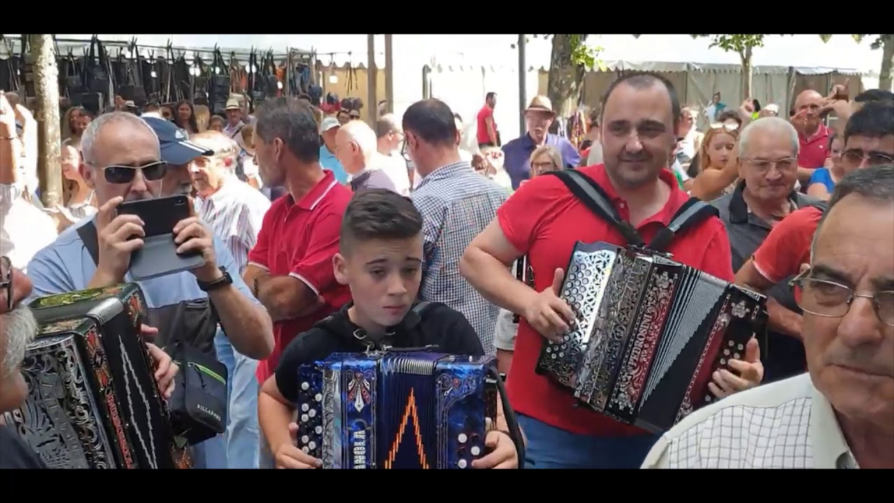 Picadinho | Festa | Valdevez