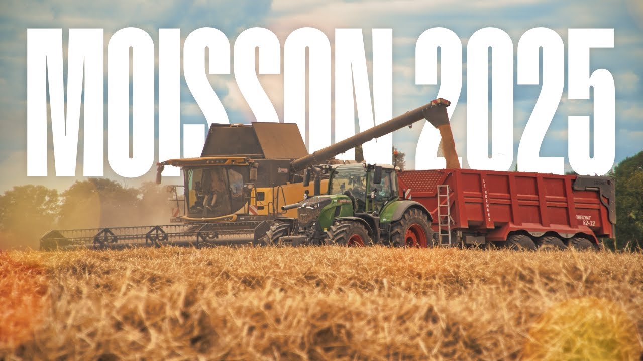 MOISSON 2025 FILM